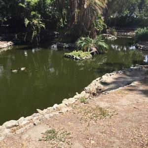 Meet your Posher, Mia